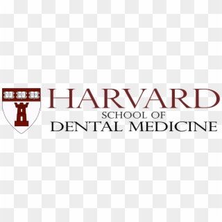 Michael Lasky - Harvard School Of Dental Medicine, HD Png Download