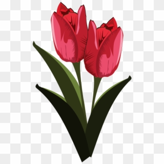 Tulip Free To Use Clip Art - Public Domain Clip Art Flower, HD Png Download