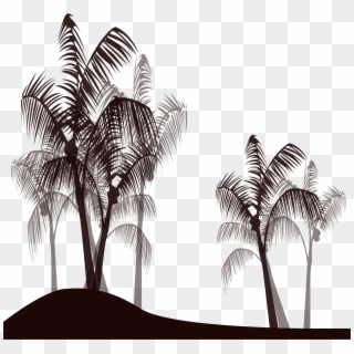 Palm Tree Black Png - Dibujos De Palmeras En Blanco Y Negro, Transparent Png