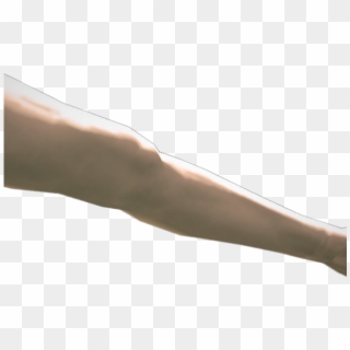 Legs Png Transparent Images - Hand, Png Download
