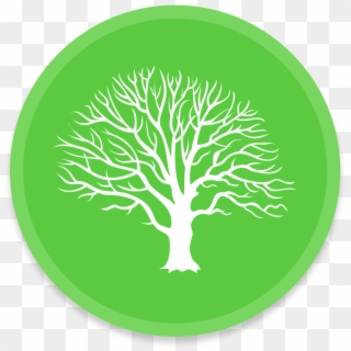 Macfamilytree Icon - Tree Icon Circle Png, Transparent Png