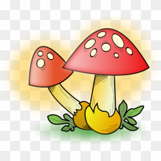 Mushroom Cloud Clip Art Cliparts - Jamur Kartun, HD Png Download