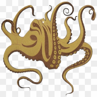 Banner Freeuse Stock Collection Of Free Drawing Download - Drawing Tentacles, HD Png Download