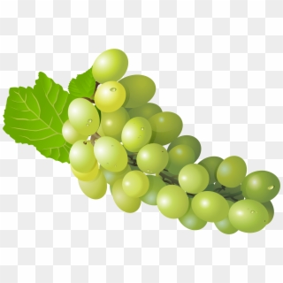 White Grape Png, Transparent Png
