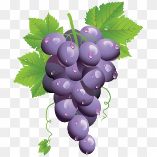 Grape Png Image - Grapes Png, Transparent Png