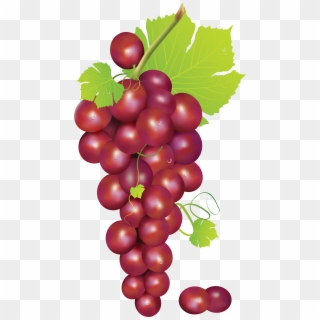 Red Grapes Clipart Png, Transparent Png