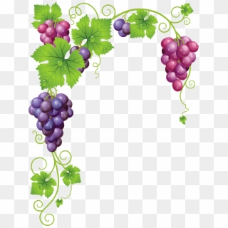 Graphic Grape Vine Clipart Free - Grape Vine Border Png, Transparent Png