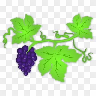 Grape Leaf - Clip Art Grape Leaves, HD Png Download