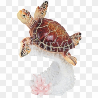 Sea Turtle Reef Figurine - Hawksbill Sea Turtle, HD Png Download