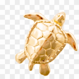 Kemp's Ridley Sea Turtle, HD Png Download
