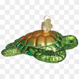 Click - Tortoise, HD Png Download