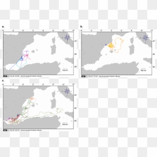 Dispersion Patterns For Loggerhead Sea Turtle Post-hatchlings - Straat Van Gibraltar, HD Png Download