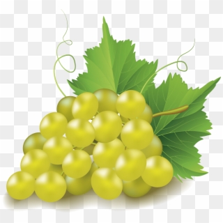 Grape Clip Art - Chardonnay Grapes No Background, HD Png Download