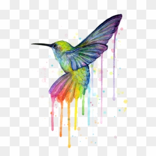 Watercolor Rainbow - Happy Birthday Hummingbird Meme, HD Png Download