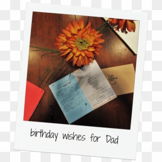 My Father Is Not An Easy Man To Understand - Gerbera, HD Png Download