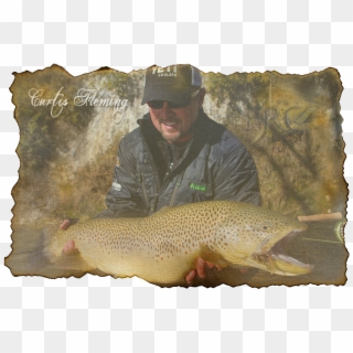 Brown Trout , Png Download - Brown Trout, Transparent Png