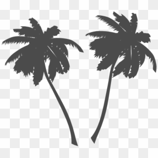 Transparent Palm Tree Vector, HD Png Download