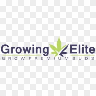 Growing Elite Marijuana By Ryan Riley - Aloe, HD Png Download