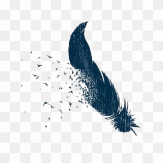 Bird Feather Png Pic - Feather And Bird Png, Transparent Png