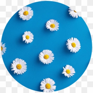 #aesthetic #circle #icon #flower #blue #blueaesthetic - Aesthetic Icons Blue, HD Png Download