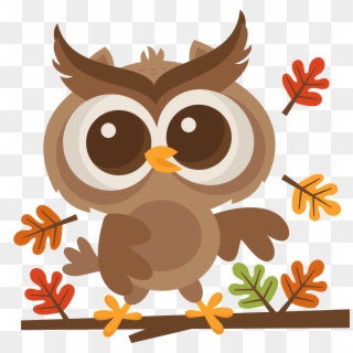 Racoon Clipart Woodland Owl - Cute Fall Clipart Transparent, HD Png Download