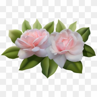 Beautiful Pink Roses - Clipart Png Pink Rose Transparent, Png Download