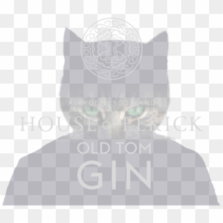 Old Tom Banner Cat Eyes - Black Cat, HD Png Download