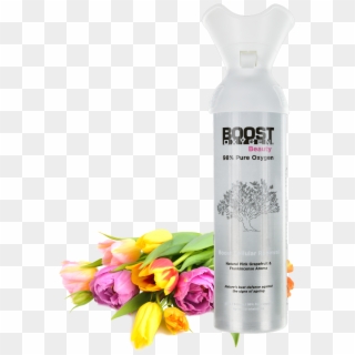 Introducing Boost Oxygen Beauty - Rosa Rubiginosa, HD Png Download