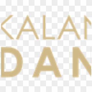 Kalanidhi Dance - Salome Terminal 2010, HD Png Download