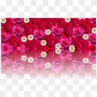 Roses Love Romantic Red Rose Png Image - Flower Rose Love Romantic, Transparent Png