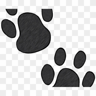 Wildcat Clipart Bear Claw - Grey Paw Prints Transparent, HD Png Download