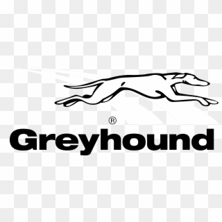 Greyhound Logo Png Transparent Background - Greyhound Logo, Png Download