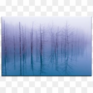 Blue Pond - Reflection, HD Png Download