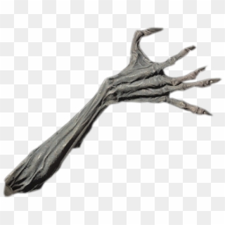 Ancient Vampire Arm - Driftwood, HD Png Download