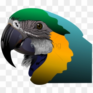 Free Png Cafepress Parrot Samsung Galaxy S7 Case Png - Uccelli Esotici Png, Transparent Png