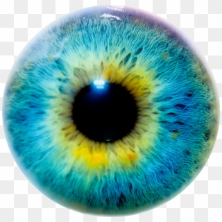 Eye Iris Eyeball Colour - Lens Png, Transparent Png