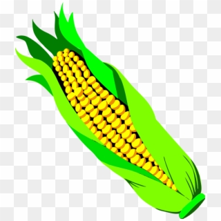 Ear Of Corn Clipart - Ear Of Corn Png, Transparent Png