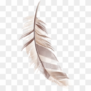 Cartoon Material Transprent - Cartoon Image Of Feather, HD Png Download