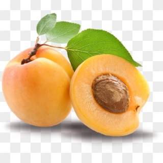 Apricot Png Transparent Images Free Download Clipart - Apricot Png, Png Download