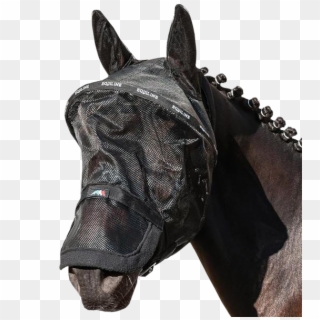 Paddock Mesh Mask Benson By Equiline Horse Fly, Mesh, - Equiline Benson, HD Png Download