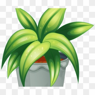 Pot Plant Clipart Baby - Plants Cartoon Psd, HD Png Download