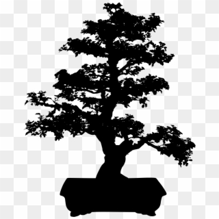 Download Png - Bonsai Tree Black And White, Transparent Png