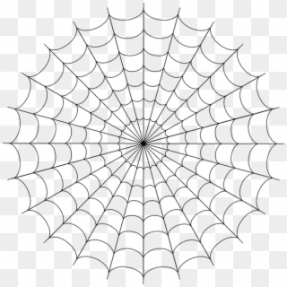 Spider Man Web Transparent, HD Png Download