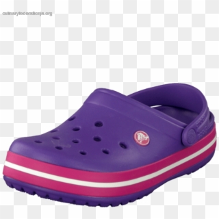 Women's Crocs Crocband Neon Purple - Slip-on Shoe, HD Png Download