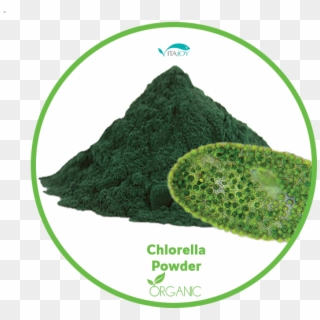 Organic Chlorella Powder - Chlorella Vulgaris, HD Png Download
