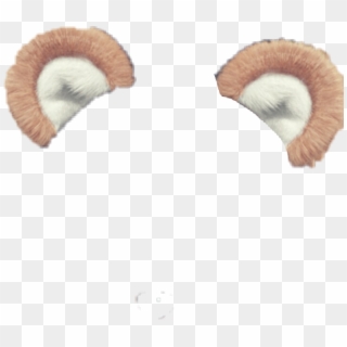 Pastelki bear ears