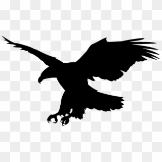 Free Raptor Bird Png - Aguila Volando Png, Transparent Png