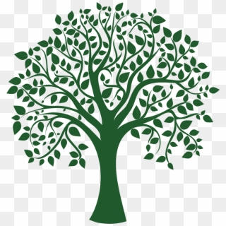 Harrina Consulting - Family Tree Vector, HD Png Download