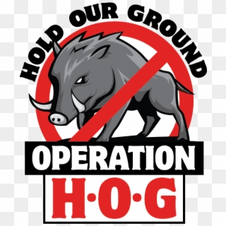 Logo For Operation Hog - Boar, HD Png Download