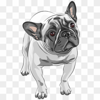 French Bulldog Watercolor Painting Drawing - Bulldog Dog Vector, HD Png Download